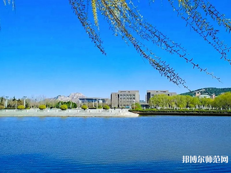 山东师范大学2023年有哪些专业 