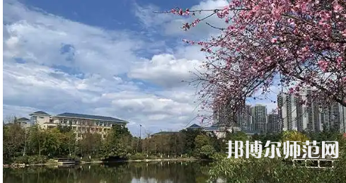 重庆师范大学2023年招生代码
