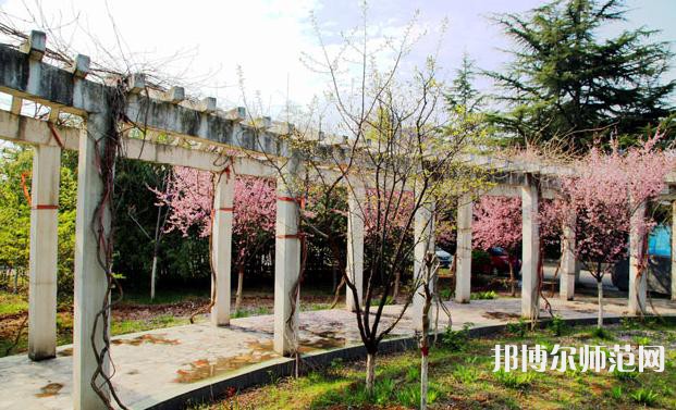 西安建筑工程幼师技师学院2023年有哪些专业