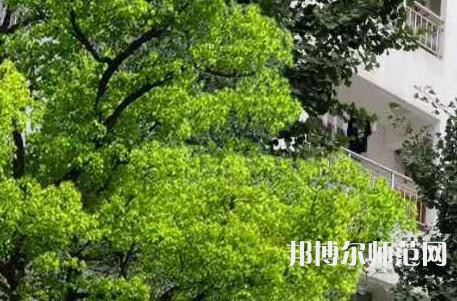 西安工业科技技术幼师学校2023年招生办联系电话