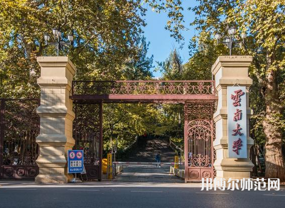 云南大学师范学院东陆校区2023年招生代码