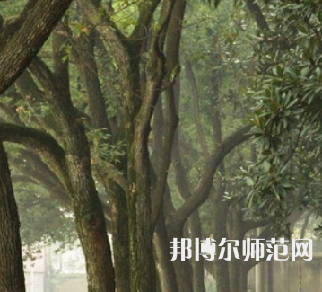 湖南师范大学树达学院2023年招生简章