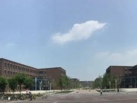 天津大学师范学院卫津路校区2023年招生计划