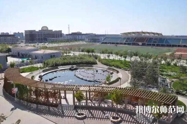 天津外国语师范大学滨海校区2023年有哪些专业