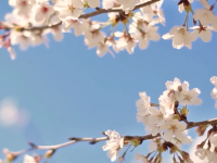 天水师范学院2023年招生简章