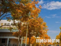 南京师范大学泰州学院2023年报名条件、招生要求、招生对象