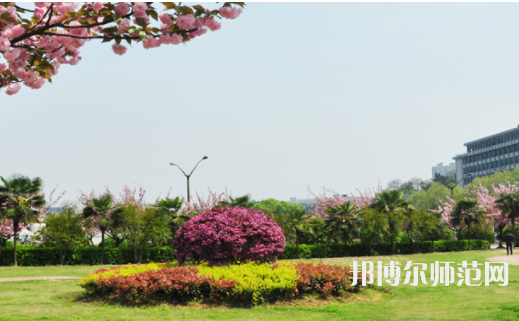 湖北师范学院2023年招生代码