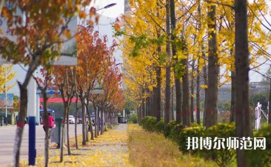 西安城市建设师范职业学院2023年招生计划