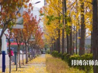 西安城市建设师范职业学院2023年招生计划