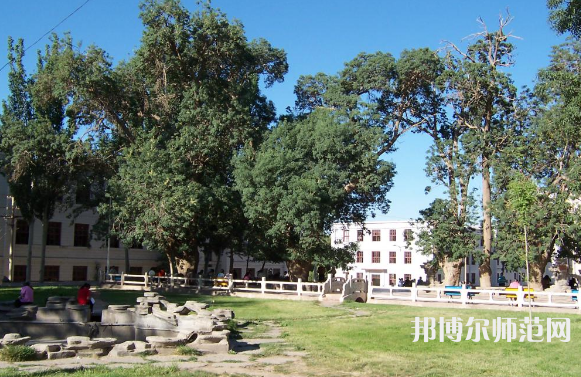 喀什师范大学东城校区2023年有哪些专业