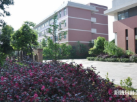 邛崃幼师职业教育中心2023年招生计划