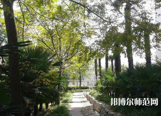 西北大学师范学院桃园校区2023年怎么样、好不好