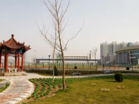涿州幼师技师学院2023年有哪些专业