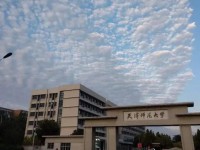 天津师范大学2023年招生计划