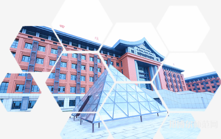 成都锦城师范学院2023年网站网址
