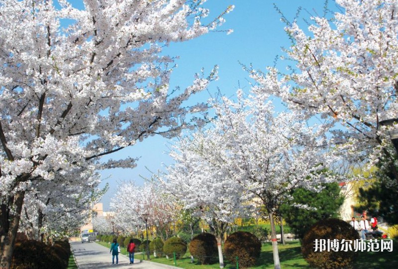 西安思源师范学院历年招生录取分数线