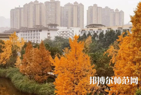 雅安职业技术师范学院2023年怎么样、好不好