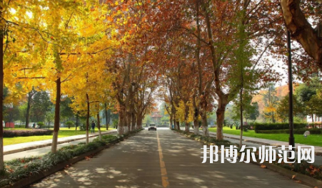 四川大学师范学院望江校区2023年地址在哪里