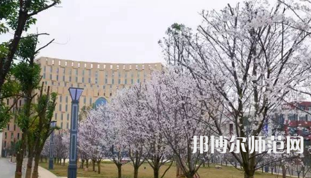 2023年遵义师范学院最新排名(全国第几)