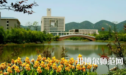 2023年重庆师范大学数字媒体艺术专业介绍