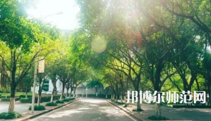 2023年重庆师范大学涉外商贸学院环境设计专业介绍