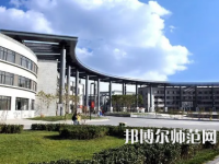 2023年天津师范大学艺术专业介绍