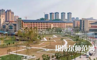 2023年内江师范学院会计与统计核算专业介绍