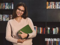 新疆排名前三的公办汉语言文学学校名单一览表