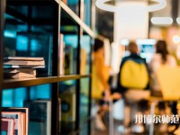 长沙排名前二的公办汉语言文学学校名单一览表